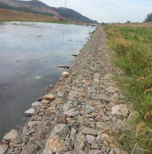 河道石籠網(wǎng) 河道石籠網(wǎng)